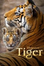 Nonton Film Tiger (2024)
